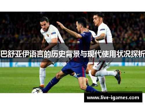 巴舒亚伊语言的历史背景与现代使用状况探析