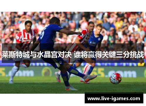 莱斯特城与水晶宫对决 谁将赢得关键三分挑战