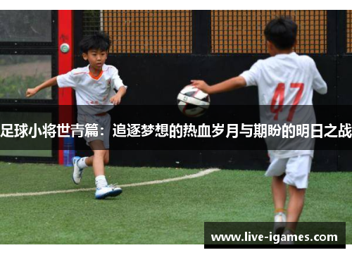 足球小将世青篇：追逐梦想的热血岁月与期盼的明日之战