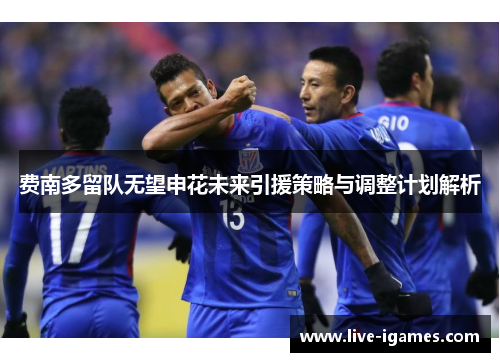 费南多留队无望申花未来引援策略与调整计划解析