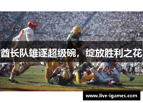 酋长队雄逐超级碗，绽放胜利之花